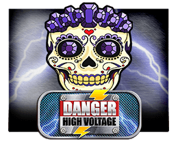 slot danger high voltage