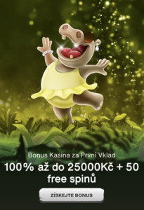 Cashwin Bonus za První Vklad